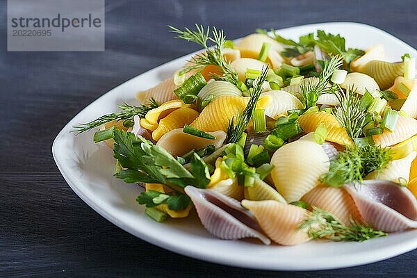 Conchiglie farbigen Nudeln mit frischem GrünGemüse auf schwarzem Holz Hintergrund. Nahaufnahme  selektiver Fokus