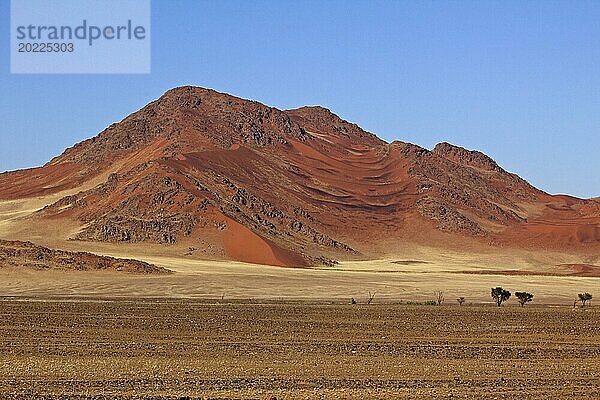 Namib-Panorama