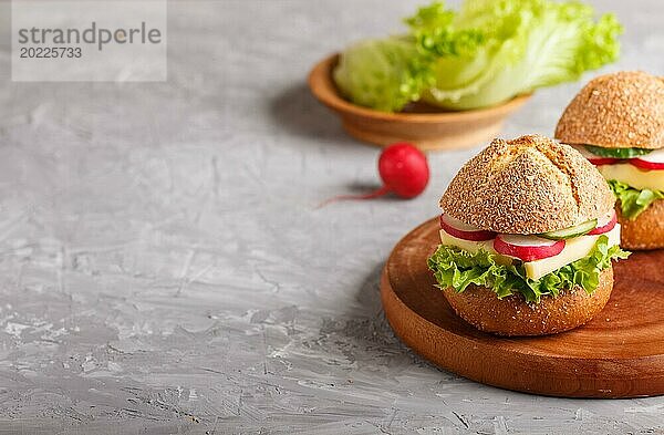 Sandwiches mit Käse  Radieschen  Salat und Gurken auf einem Holzbrett auf einem grauen Betonhintergrund. Seitenansicht  Kopierraum  selektiver Fokus