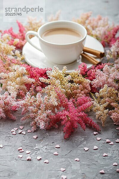 Rosa und rote Astilbe Blumen und eine Tasse Kaffee auf einem grauen Beton Hintergrund. Morninig  Frühling  Mode Zusammensetzung. Seitenansicht  Nahaufnahme  selektiver Fokus