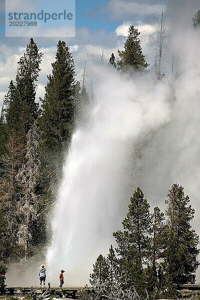 Ausbruch eines Gysir im Yellowstone National Park