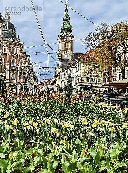 Graz  Österreich  26.03.2023: Bunte Frühlingsblumen auf dem Jakominiplatz und die Pfarrkirche im Hintergrund  eine berühmte Sehenswürdigkeit in der Stadt Graz  Steiermark  Österreich. Selektiver Fokus  Europa