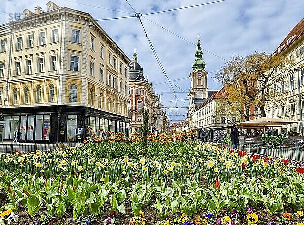 Graz  Österreich  26.03.2023: Bunte Frühlingsblumen auf dem Jakominiplatz und die Pfarrkirche im Hintergrund  eine berühmte Sehenswürdigkeit in der Stadt Graz  Steiermark  Österreich. Selektiver Fokus  Europa