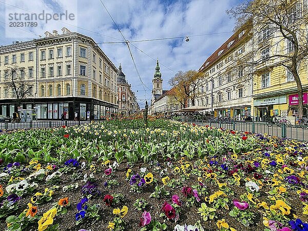 Graz  Österreich  26.03.2023: Bunte Frühlingsblumen auf dem Jakominiplatz und die Pfarrkirche im Hintergrund  eine berühmte Sehenswürdigkeit in der Stadt Graz  Steiermark  Österreich. Selektiver Fokus  Europa