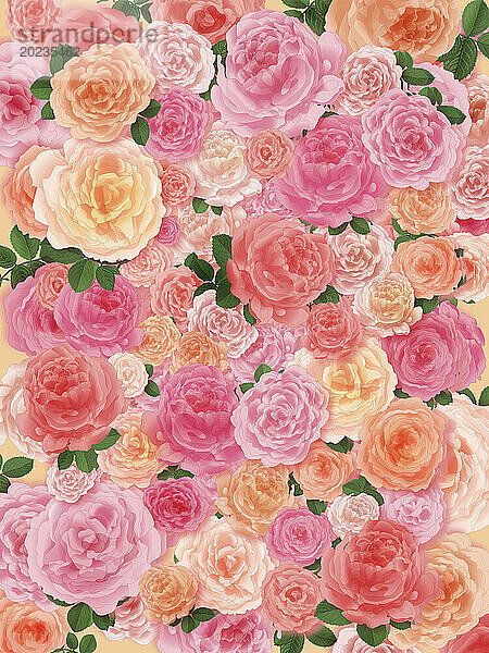 FormatfÃ¼llendes rosa Rosenmuster