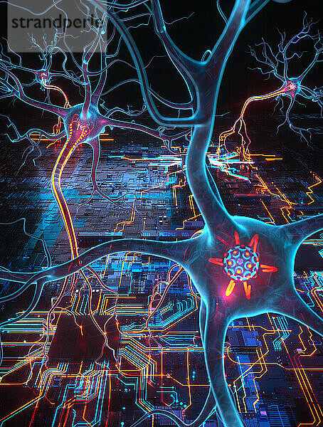 Menschliche Neuronen verbinden sich mit einer Leiterplatte
