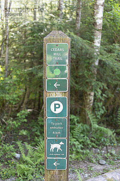 Symbol  Informationsschild am Cedars Mill Trail im Lynn Valley Canyon; Nord-Vancouver  British Columbia  Kanada