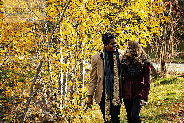 Ein gemischtrassiges Paar  das durch den Wald geht und sich gegenseitig anlächelt  während es bei einem Familienausflug im Herbst in einem Stadtpark schöne Zeit miteinander verbringt; Edmonton  Alberta  Kanada