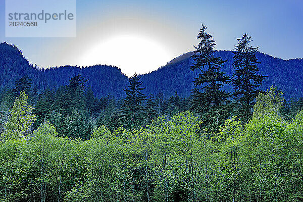 Eine helle  leuchtende Sonne hinter blauen  silhouettierten Bergen mit einem grünen Mischwald im Vordergrund am Cedars Mill Trail im Lynn Valley Canyon; Nord-Vancouver  British Columbia  Kanada