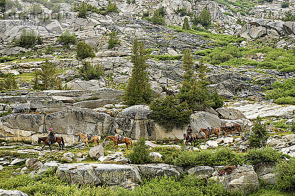 Pferde werden durch die Berge im King's Canyon National Park geführt; Kalifornien  Vereinigte Staaten von Amerika