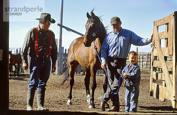 Rancher  sein Sohn und sein Enkel mit einem Pferd an einem Pferchtor; Howes  South Dakota  Vereinigte Staaten von Amerika