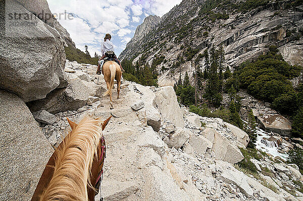 Pferde werden durch den King's Canyon National Park  Kalifornien  USA geritten; Kalifornien  Vereinigte Staaten von Amerika