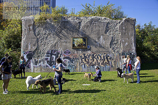 Tierbesitzer verbringen Zeit mit ihren Hunden im Freien in einem Hundeclub am Dequindre Cut in Detroit  Michigan  USA; Detroit  Michigan  Vereinigte Staaten von Amerika