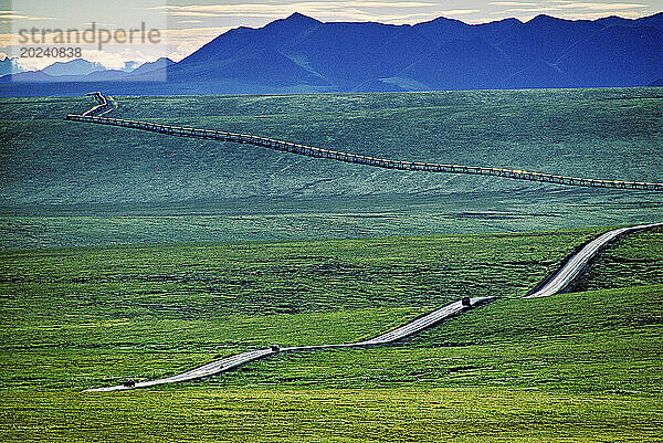 Drei Fahrzeuge überqueren im Sommer auf dem Dalton Highway sanfte Hügel über der grünen Tundra und folgen im Hintergrund der Trans-Alaska-Pipeline  die Rohöl durch Alaska transportiert. Alaska  Vereinigte Staaten von Amerika