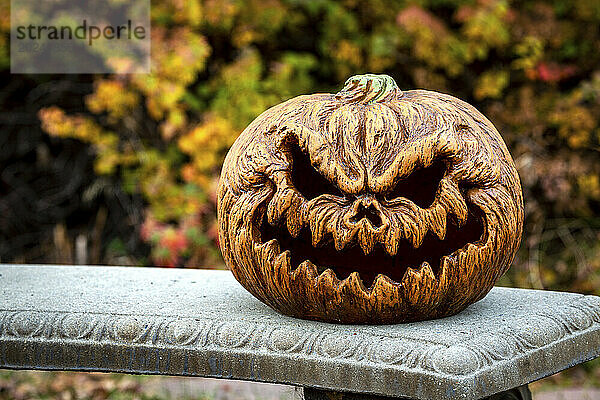 Dekorative Jack-O-Laterne auf einer Betonbank mit bunten Herbstfarben im Hintergrund; Calgary  Alberta  Kanada