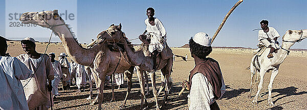 Baggara-Volk auf Reise in den Süden des Sudan; Sudan