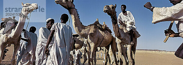 Baggara-Volk auf Reise in den Süden des Sudan; Sudan