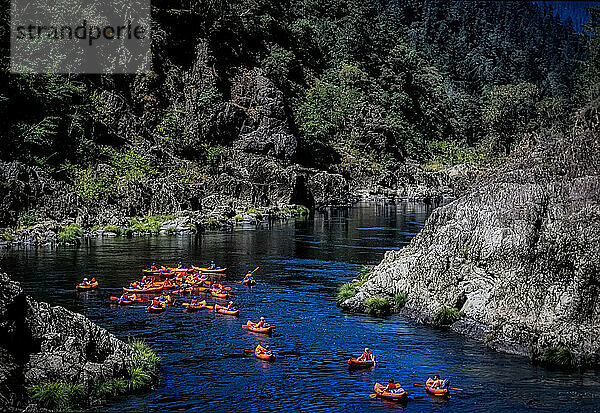 Ein Meer aus orangefarbenen Booten schwimmt auf den ruhigen Gewässern des Rogue River. Rafters schließen sich jedes Jahr rund 100.000 anderen Tagesausflüglern an  die auf dem Fluss paddeln  schwimmen oder Kajak fahren. Der Einbruch der Dunkelheit bringt Ruhe; Nur wenige glückliche Gewinner der jährlichen BLN-Lotterie können in den „Wild and Scenic“-Teil einsteigen  der in der Nähe von Gold Beach  Oregon  USA  in Richtung Pazifischer Ozean rauscht; Oregon  Vereinigte Staaten von Amerika