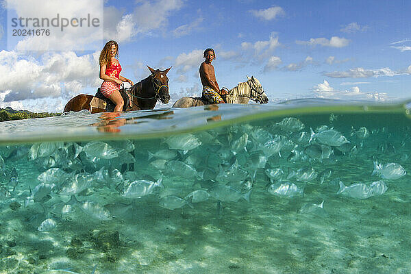 Geteilte Ansicht eines Paares zu Pferd und Fisch im Meerwasser. Diese Döbel (Kyphosus bigibbus) sind in der Lagune vor dem Rarotongan-Resort konzentriert  wo sie täglich gefüttert werden. Diese geteilte Szene wurde mit einem Vollformat-Fisheye-Objektiv aufgenommen; Rarotonga  Cookinseln