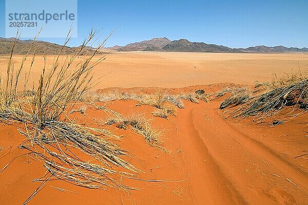NamibRand Nature Reserve auf Wolwedans in Namibia