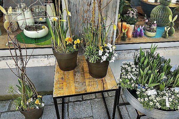 Frühlingserwachen  Blumenladen mit Osterdeoration  Kempten  Allgäu  Bayern  Deutschland  Europa