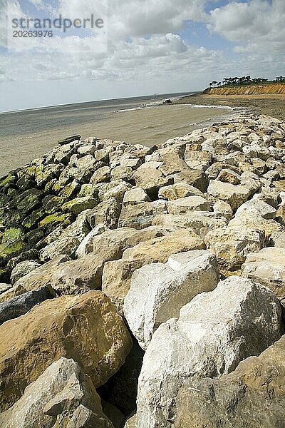 Felspanzersperren zum Schutz der Küstenerosion  Bawdsey  Suffolk  England  Großbritannien  Europa