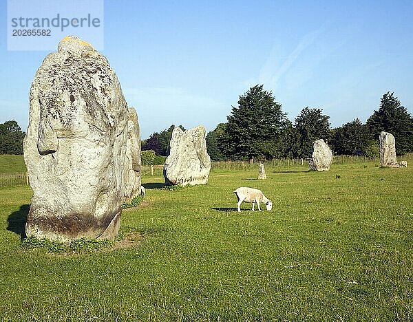 Stehende Steine des Henge in Avebury  Wiltshire  England  Großbritannien  Europa