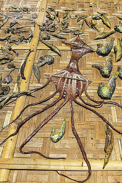 Fisch zum Trocknen in der Sonne  Tintenfisch  Octopus  traditionell  Tradition  asiatisch  Lebensmittel  Nahrung  Ernährung  Meeresfrüchte  Hygiene  Markt  Fischmarkt  ausgetrocknet  Wirtschaft  Kochen  Küche  Kunst  abstrakt  Kultur  Salz  Konservierung  konservieren  Luft  Luftgetrocknet  Lombok  Indonesien  Asien
