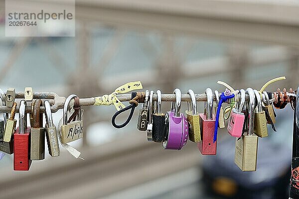 Brooklyn Bridge  Liebesschlösser befestigt an einem Brückengeländer  symbolisieren Bindung und Romantik  Manhattan  New York City  New York  USA  Nordamerika