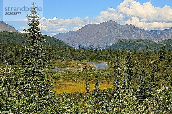 Alaska-Panorama