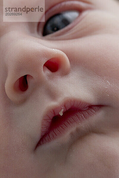 Neugeborenes Gesicht. Munddetail mit Saugblase. Baby ist 3 Tage alt.