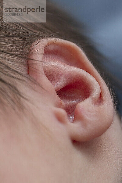 Nahaufnahme des Ohrs eines 3 Tage alten Neugeborenen. Baby ist 2 Tage alt.