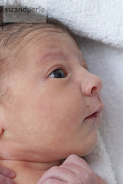 Erwachtes Gesicht eines Neugeborenen (2 Tage alt).