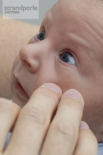Neugeborenes Gesicht. Baby ist 3 Tage alt.