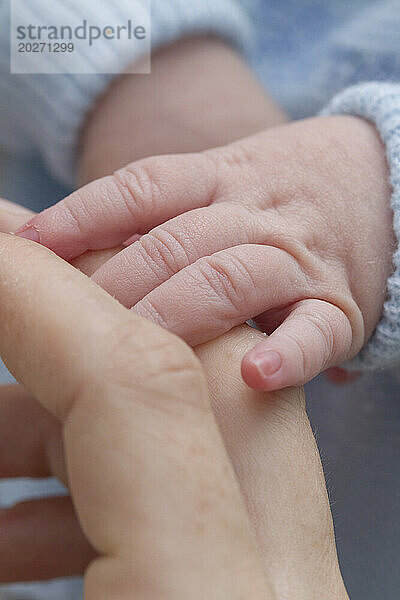 Nahaufnahmen von Händen eines 3 Tage alten Neugeborenen. Baby ist 2 Tage alt.