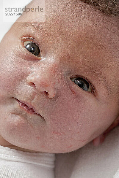 Erwachtes Gesicht eines Neugeborenen (3 Tage alt).