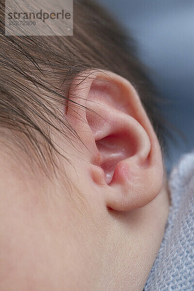 Nahaufnahme des Ohrs eines 3 Tage alten Neugeborenen. Baby ist 2 Tage alt.