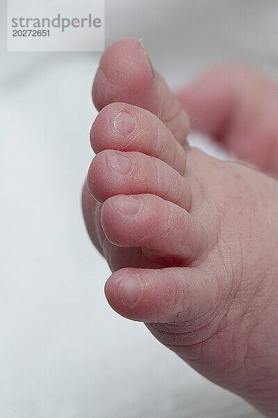 Nahaufnahmen von Füßen eines 1 Tag alten Neugeborenen.