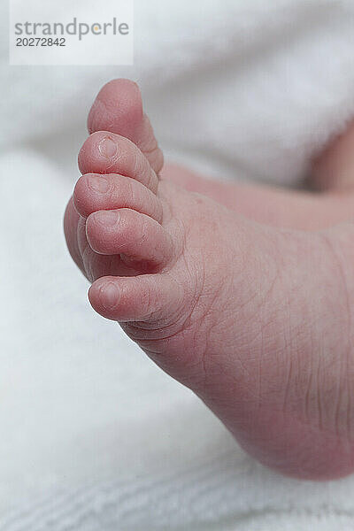 Nahaufnahmen von Füßen eines 1 Tag alten Neugeborenen.