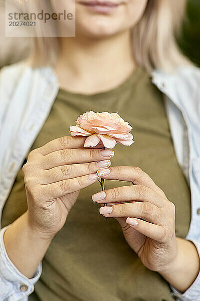 Frau hält Rosenblüte in den Händen
