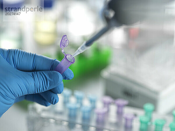 Senior scientist pipetting chemical formula in eppendorf tube at laboratory