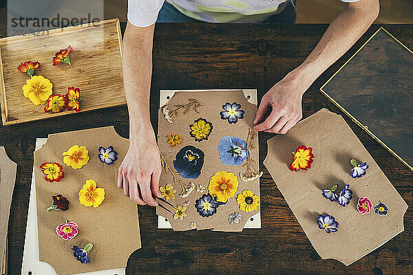 Hands of woman arranging dried flowers with tweezers on cardboard at home
