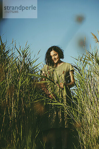 Reife Frau steht an einem sonnigen Tag inmitten von hohem Schilf im Feld