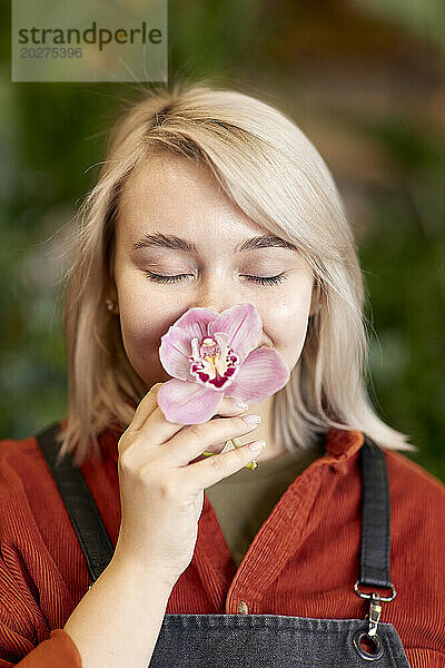Junger Florist riecht rosafarbene Blume