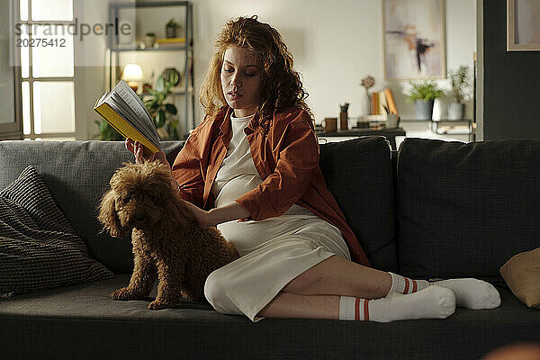Expectant woman reading book and stroking dog on sofa