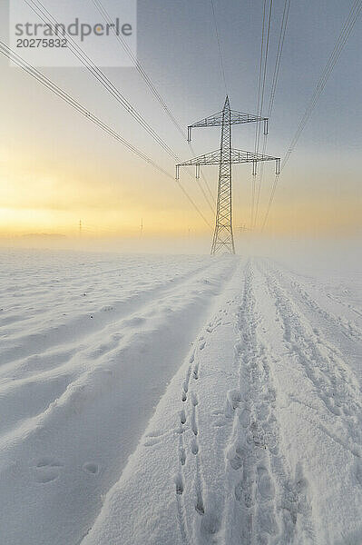 Deutschland  Hessen  Hünfelden  Schnee vor dem Strommast im Morgengrauen