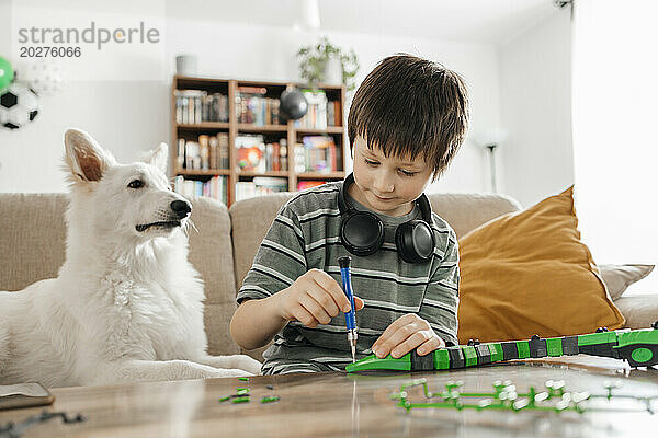 Junge baut Spielzeugschlange neben Hund zu Hause zusammen
