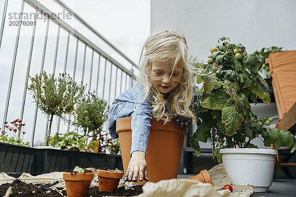 Ein schelmisches Mädchen mit schmutzigen Händen sitzt im Topf neben einer Tomatenpflanze auf dem Balkon