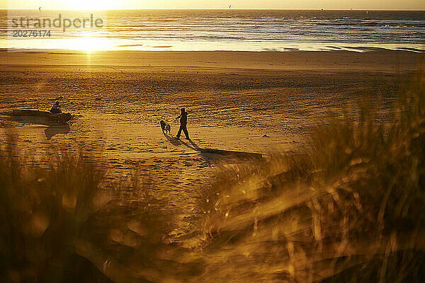 Junge Frau geht bei Sonnenuntergang mit Hund am Strand spazieren