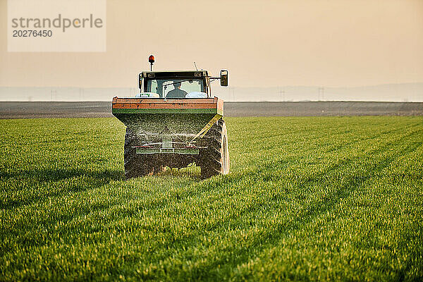 Junger Bauer im Traktor düngt Weizenpflanzen im grünen Feld